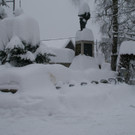 DSC06341.JPG