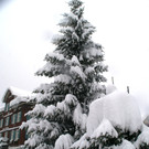 DSC06346.JPG