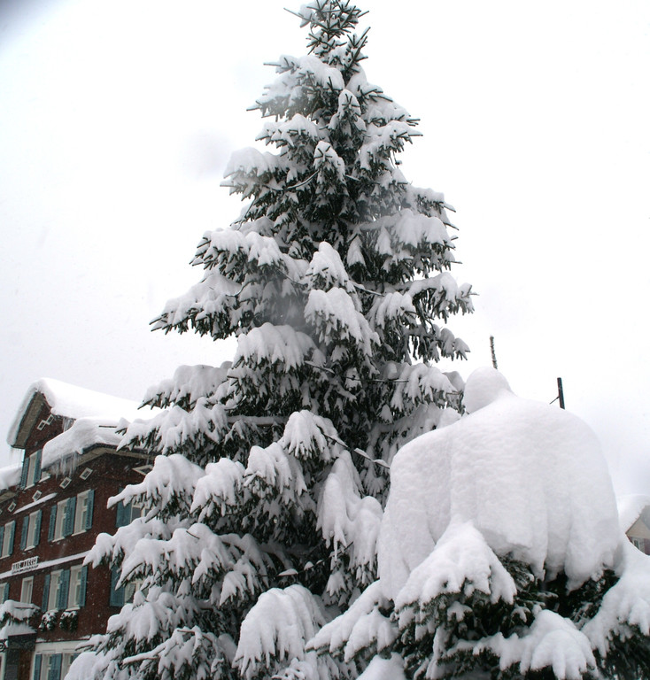 DSC06346.JPG
