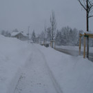 DSC06336.JPG