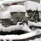 DSC06347.JPG