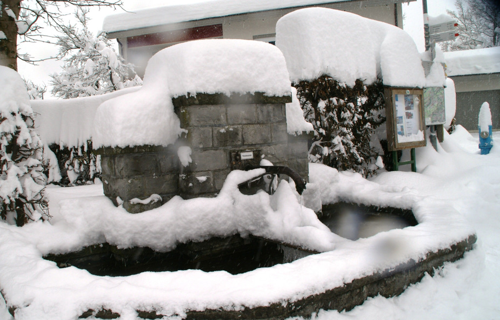 DSC06347.JPG