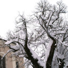 DSC06349.JPG