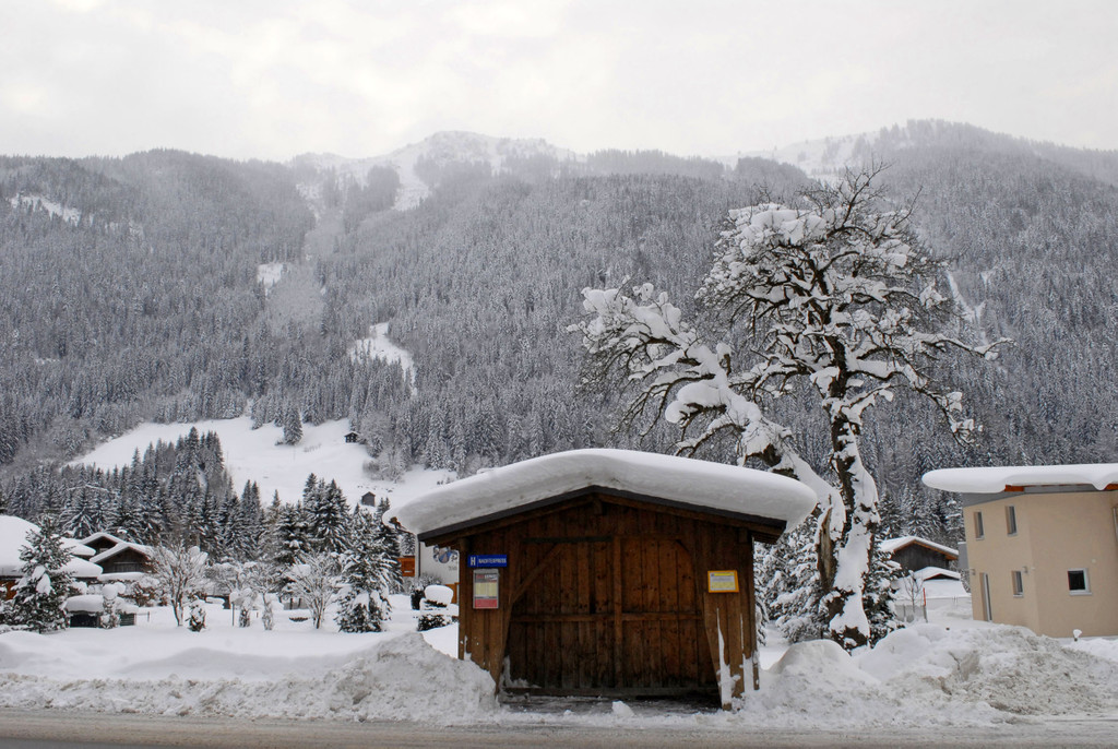 _c_ Gerhard Scopoli - Schnee Gortipohl - 352.jpg