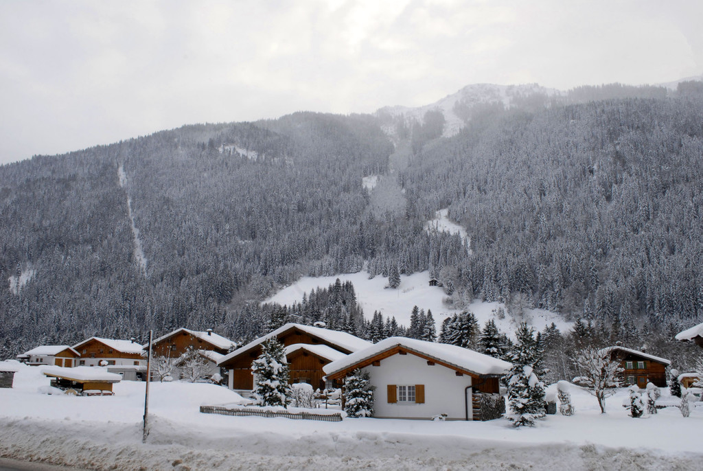 _c_ Gerhard Scopoli - Schnee Gortipohl - 354.jpg