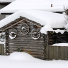 _c_ Gerhard Scopoli - Schnee Gortipohl - 356.jpg