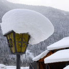 _c_ Gerhard Scopoli - Schnee Gortipohl - 377.jpg
