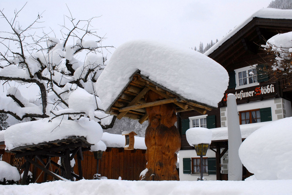 _c_ Gerhard Scopoli - Schnee Gortipohl - 384.jpg