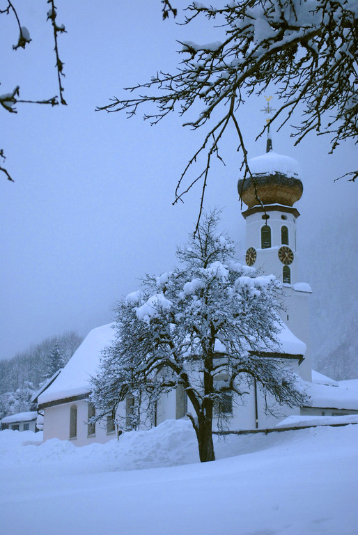 _c_ Gerhard Scopoli - Schnee Gortipohl - 277.jpg