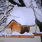 _c_ Gerhard Scopoli - Schnee Gortipohl - 292.jpg
