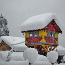 normal_11122012schneechaosat_02_001aktivnews _12_.JPG