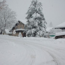 normal_11122012schneechaosat_02_001aktivnews _3_.JPG