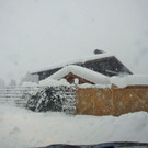 normal_11122012schneechaosat_02_001aktivnews _4_.JPG