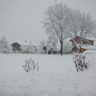 normal_11122012schneechaosat_02_001aktivnews _7_.JPG