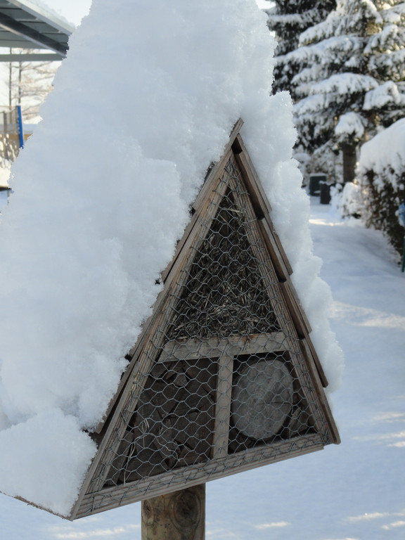 DSC03641_JPG-1355308916