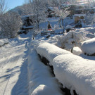 KOE_Winterzauber Fellengatter 20_jpg-1355312254