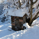 KOE_Winterzauber Fellengatter 21_jpg-1355312262