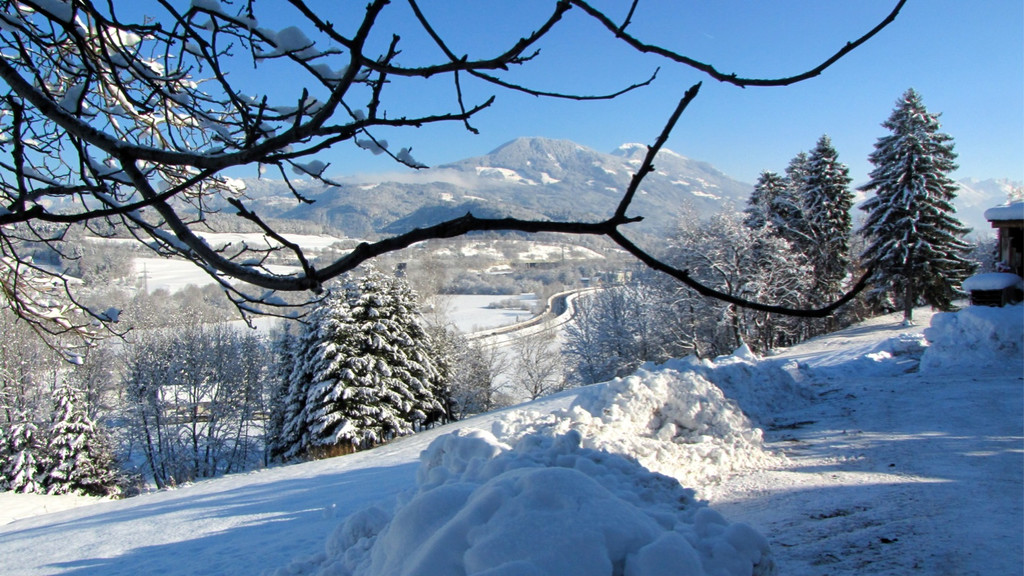 KOE_Winterzauber Fellengatter 27_jpg-1355312295