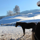 KOE_Winterzauber Fellengatter 28_jpg-1355312301