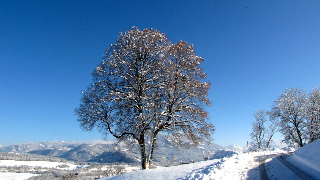 KOE_Winterzauber Fellengatter 33_jpg-1355312330
