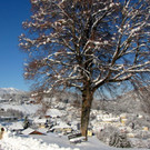 KOE_Winterzauber Fellengatter 38_jpg-1355312369