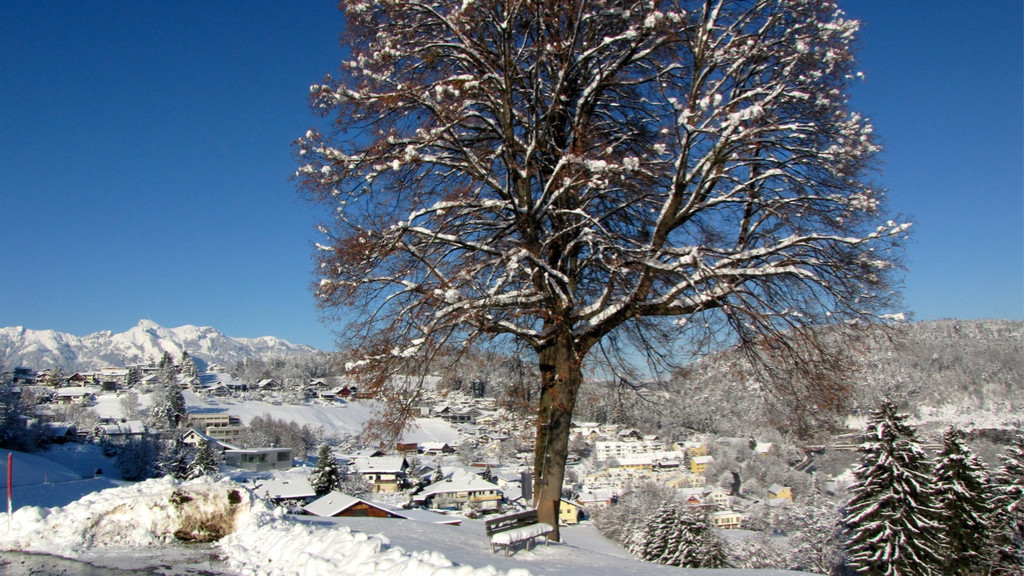 KOE_Winterzauber Fellengatter 38_jpg-1355312369