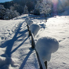 KOE_Winterzauber Fellengatter 40_jpg-1355312384