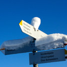 KOE_Winterzauber Fellengatter 42_jpg-1355312395