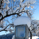 KOE_Winterzauber Fellengatter 43_jpg-1355312403