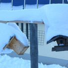KOE_Winterzauber Fellengatter 53_jpg-1355312475