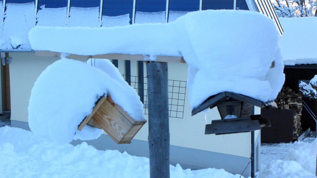 KOE_Winterzauber Fellengatter 53_jpg-1355312475