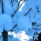 KOE_Winterzauber Fellengatter 54_jpg-1355312481