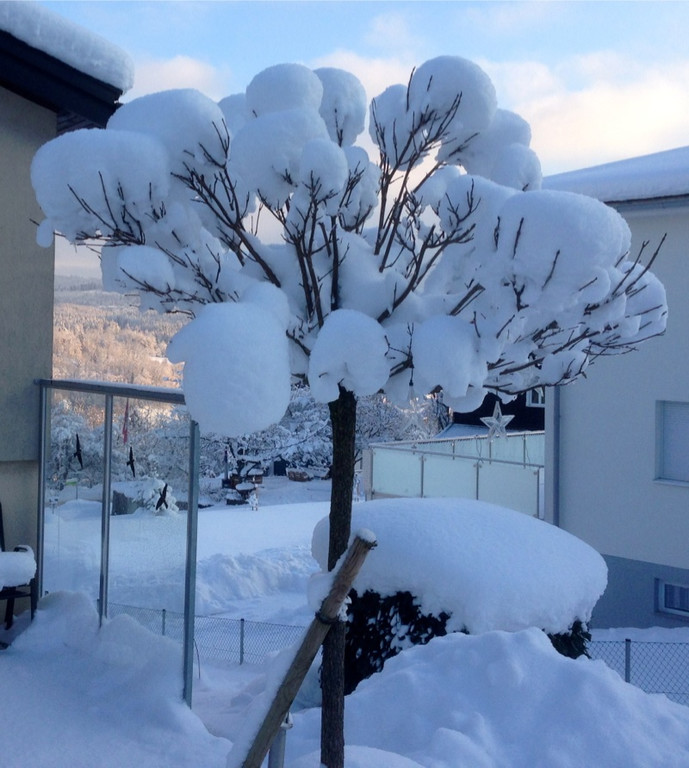 KOE_Winterzauber Fellengatter 55_jpg-1355312485