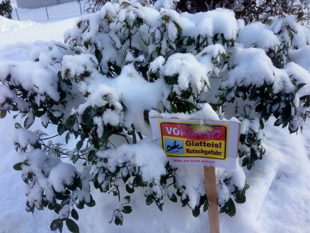 KOE_Winterzauber Fellengatter 56_jpg-1355312491