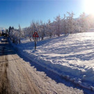 KOE_Winterzauber Fellengatter 57_jpg-1355312495