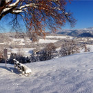 KOE_Winterzauber Fellengatter 59_jpg-1355312505
