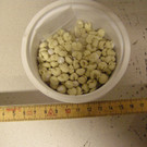 p71212-SG Kugeln.JPG