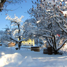 KOE_Winterzauber Fellengatter 3_jpg-1355313780