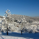 KOE_Winterzauber Fellengatter 5_jpg-1355313796
