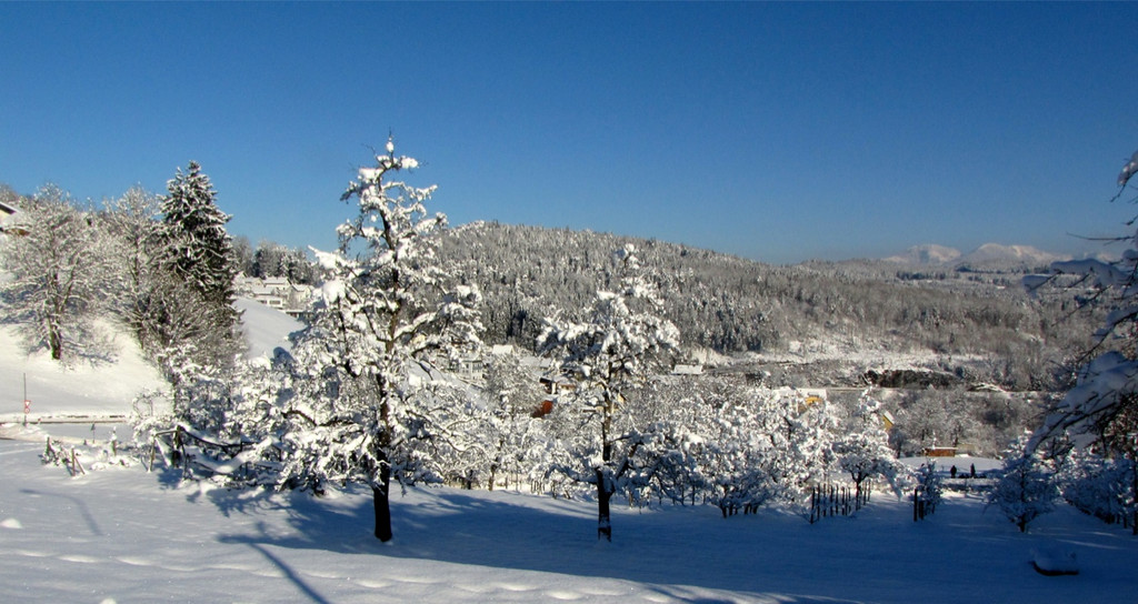 KOE_Winterzauber Fellengatter 5_jpg-1355313796