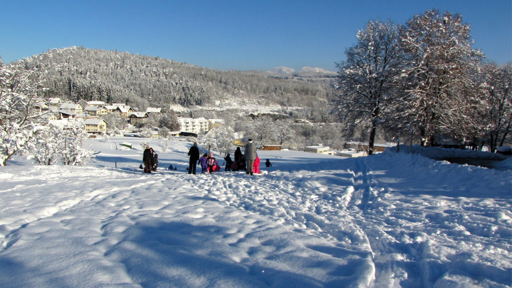 KOE_Winterzauber Fellengatter 8_jpg-1355313821