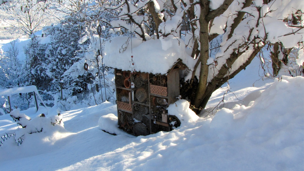 KOE_Winterzauber Fellengatter 21_jpg-1355313928