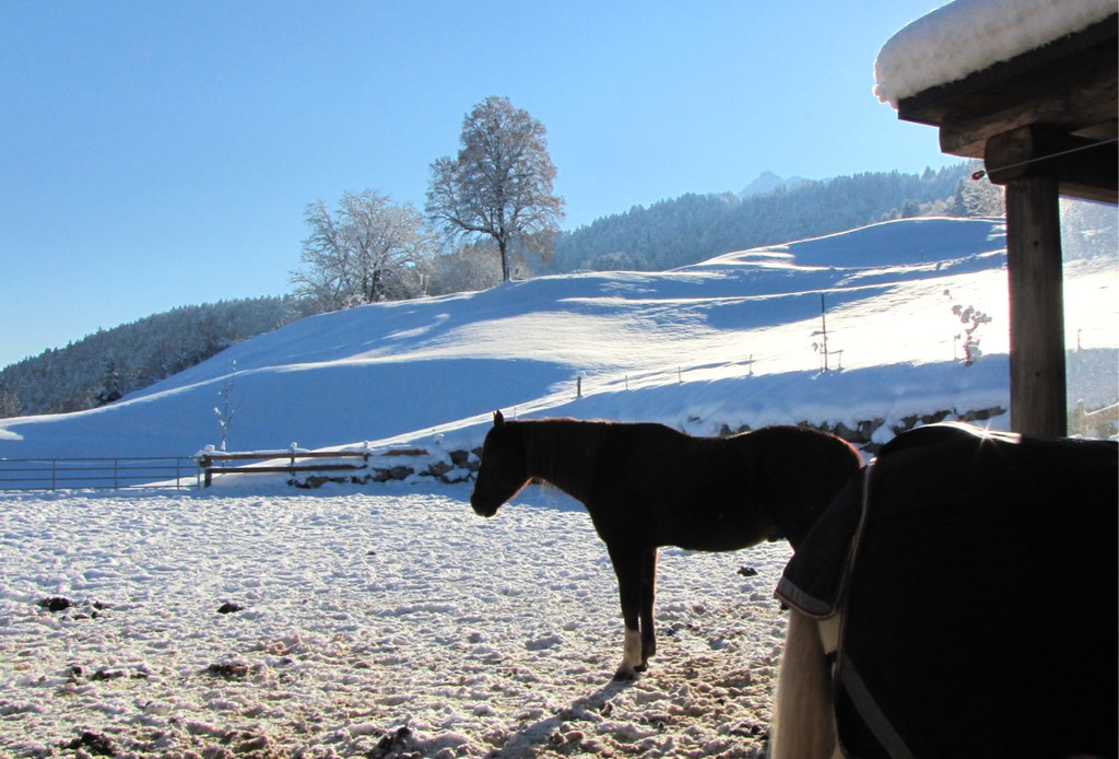 KOE_Winterzauber Fellengatter 28_jpg-1355313968