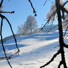 KOE_Winterzauber Fellengatter 31_jpg-1355313983