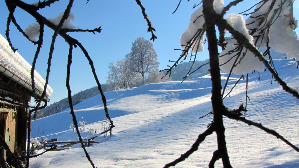 KOE_Winterzauber Fellengatter 31_jpg-1355313983