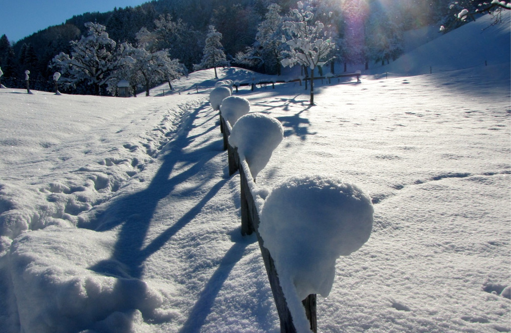 KOE_Winterzauber Fellengatter 40_jpg-1355314050