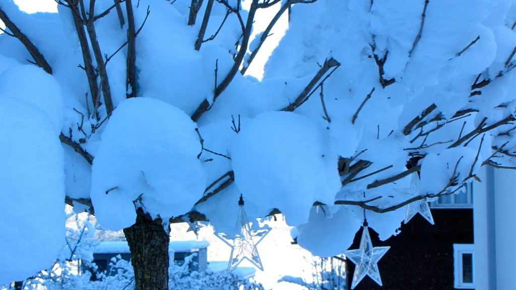 KOE_Winterzauber Fellengatter 54_jpg-1355314143