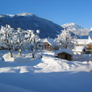 IMG_2455_JPG-1355315645