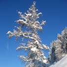 IMG_2458_JPG-1355315743