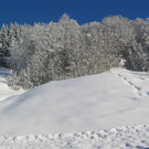 IMG_2462_JPG-1355315840